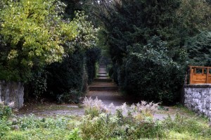 The stairs to the Rauenberg Trig Point park on MarienhÃ¶he